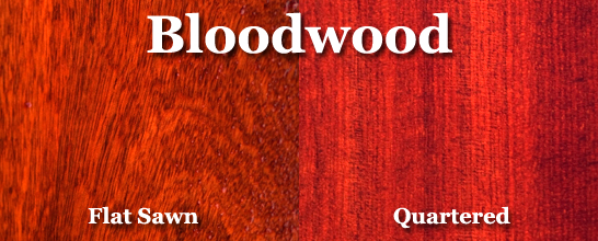 Bloodwood