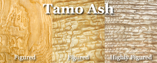 Ash (Tamo)