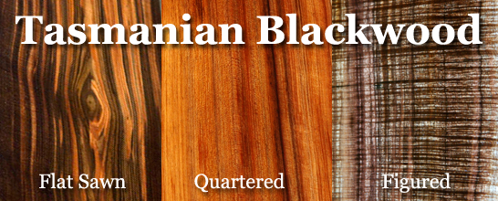 Tasmanian Blackwood