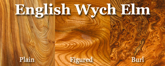 Elm (English Wych)
