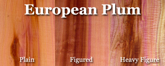 Plum (European)
