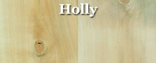 Holly