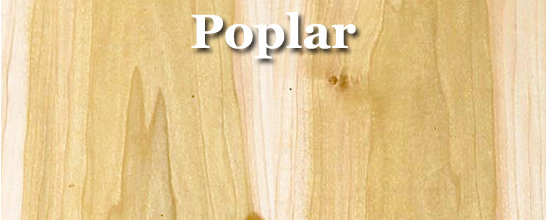 Poplar
