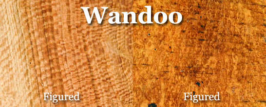 Wandoo