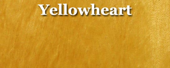 Yellowheart