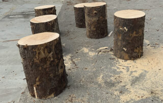sitka spruce being processed into guitar tops at Hearne Hardwoods Inc