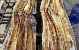 sawing koa logs at Hearne Hardwoods Inc.