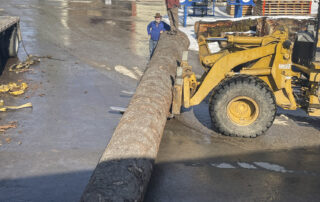 Buy Sitka Spruce at Hearne Hardwoods Inc.