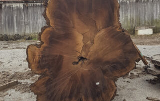 Black Walnut at Hearne Hardwoods Inc. Black Walnut at Hearne Hardwoods Inc.
