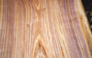 Buy Butternut at Hearne Hardwoods Inc. Butternut wood sample pictures