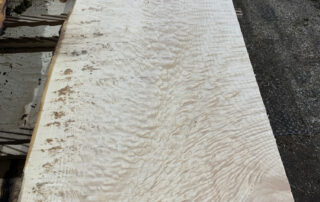 Big Leaf Maple Sample Photo