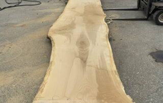 cutting a 30 foot white oak log at Hearne Hardwoods Inc.