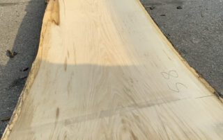 cutting a 30 foot white oak log at Hearne Hardwoods Inc.