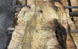 Buy Figured American Myrtle slabs at Hearne Hardwoods Inc. Buy Figured American Myrtle slabs at Hearne Hardwoods Inc.