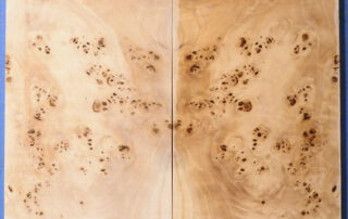 Buy Poplar Wood at Hearne Hardwoods Inc. Buy Poplar Wood at Hearne Hardwoods Inc.