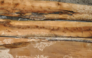 Buy apple wood at Hearne Hardwoods Inc.