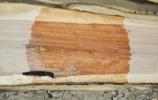 Buy apple wood at Hearne Hardwoods Inc.