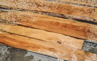Buy apple wood at Hearne Hardwoods Inc.
