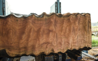 Buy Sapele wood at Hearne Hardwoods Inc. Buy Pomelle Ribbon Sapele at Hearne Hardwoods Inc.
