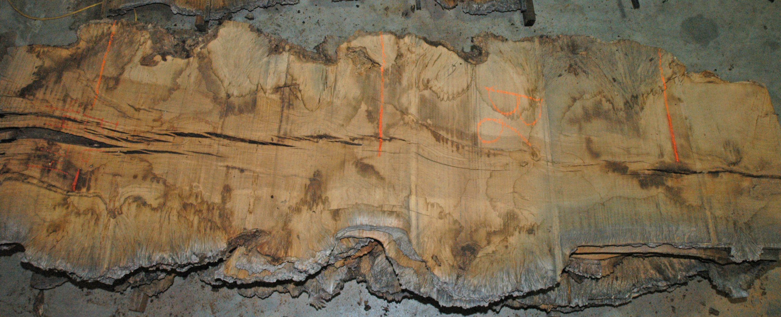 9474 pippy oak board b6